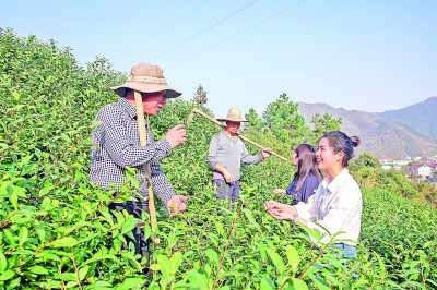 全面从严治党：政治引领政治保障作用充分发挥