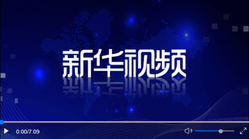 ·习近平同坦桑尼亚总统哈桑举行会谈