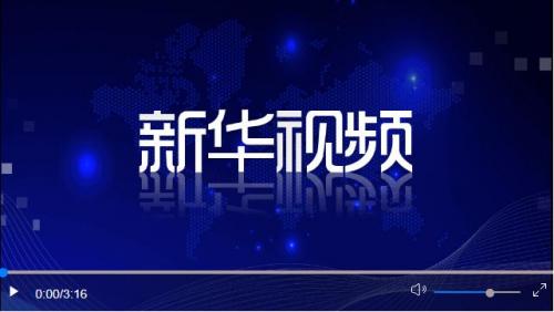 ·蔡奇出席南京大屠杀死难者国家公祭仪式并讲话