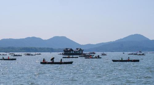 杭州西湖手划船违规营运引关注 涉事船工被取消西湖水域从业资格
