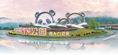 四川、陕西、甘肃开展区域协同立法——携手建好大熊猫国家公园