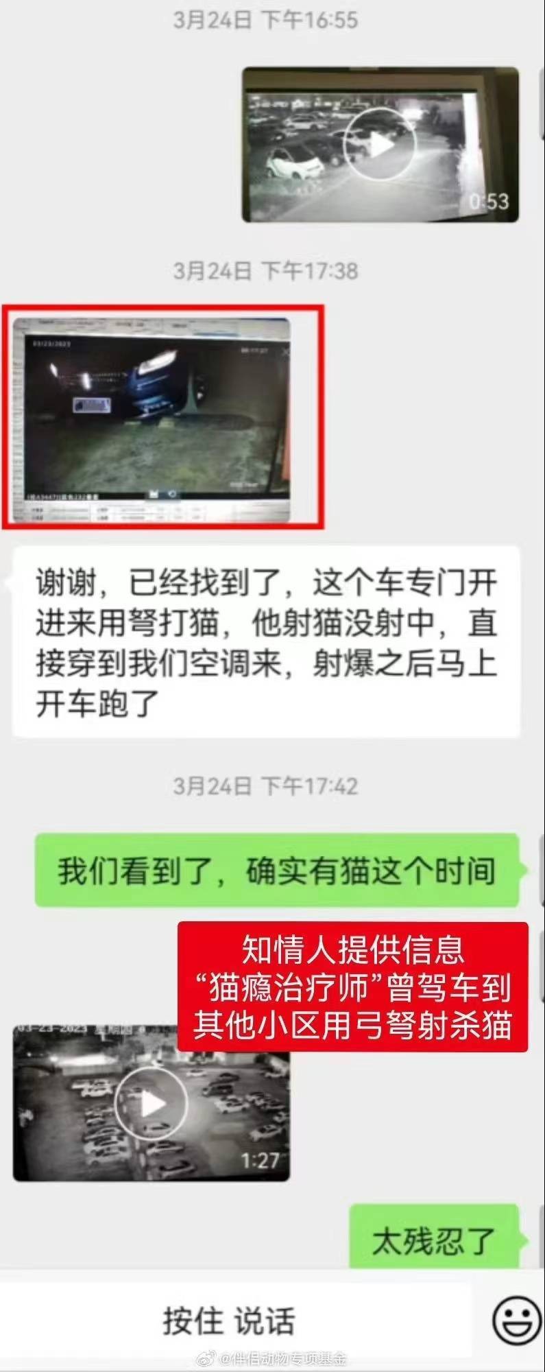 工行南宁新城支行通报“员工被曝虐猫”：属实，已解除劳动合同
