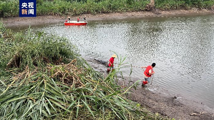 广东茂名一养殖场因内涝致部分鳄鱼出逃 已捕获36条