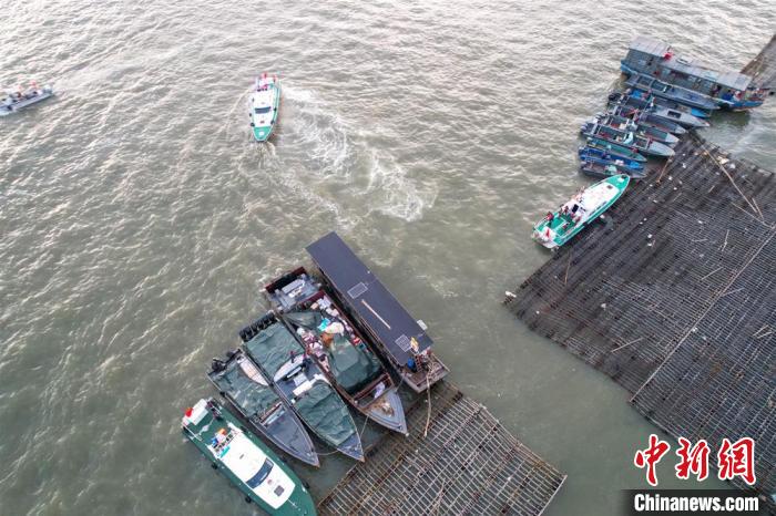 广西防城港破获特大海上走私案 查扣37艘涉案船舶