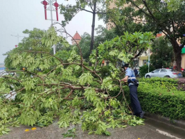 暴雨来袭，广东博罗公安闻汛而动，守护平安！